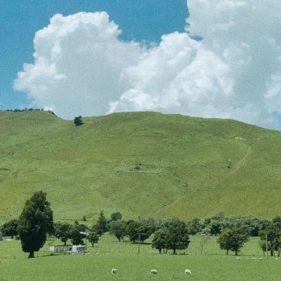 可下分电玩手机app下载截图