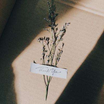 加拿大28手机app下载