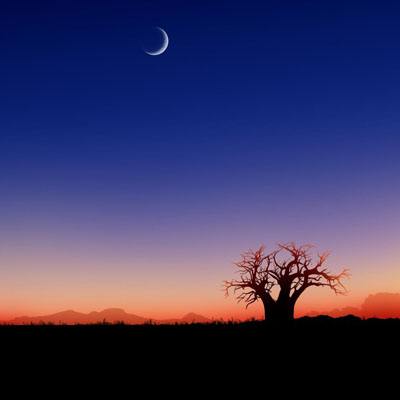 天博官网APP下载